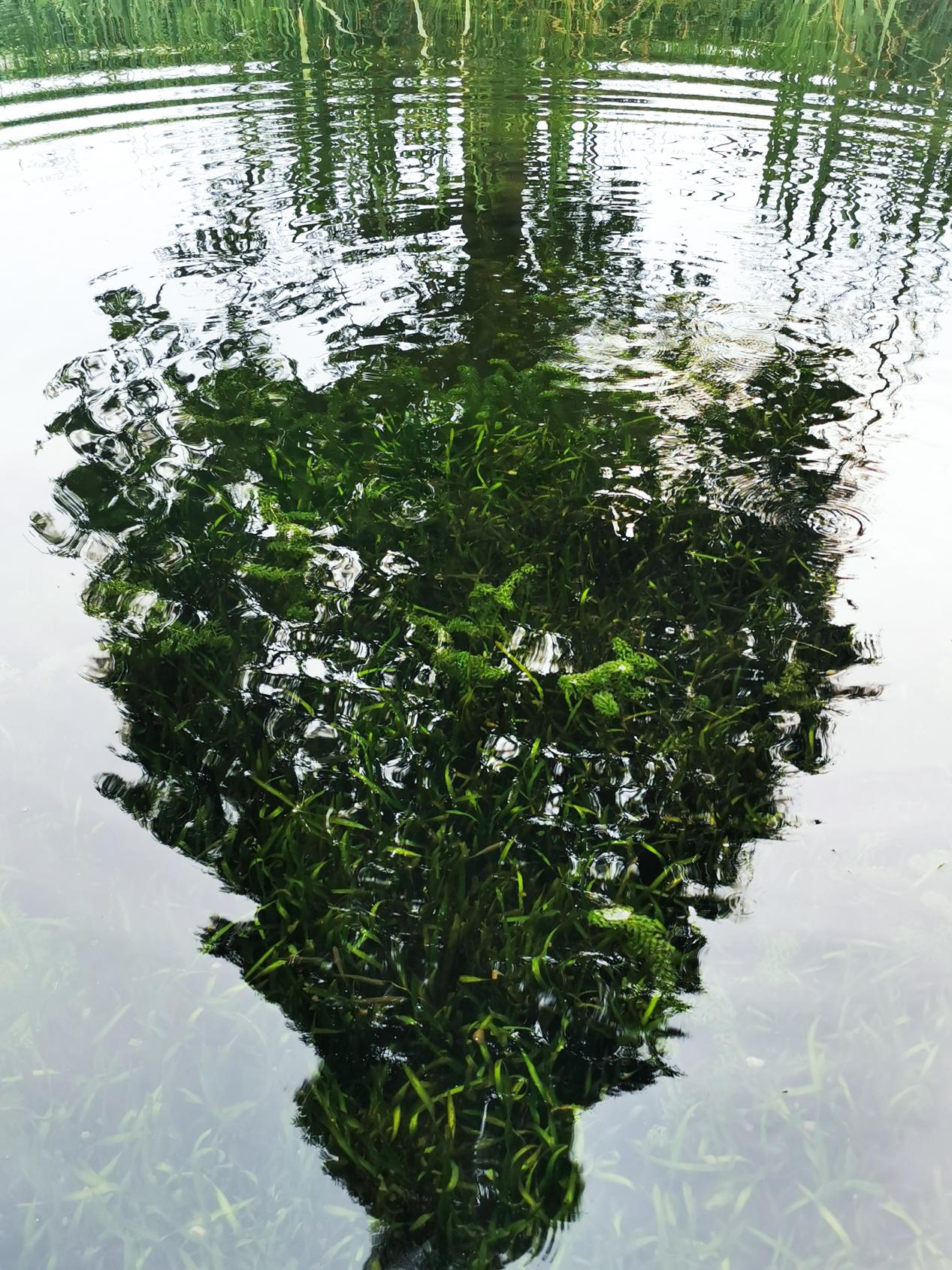 UED����-����Ʒ������